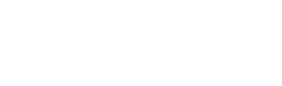 logo maison plisson